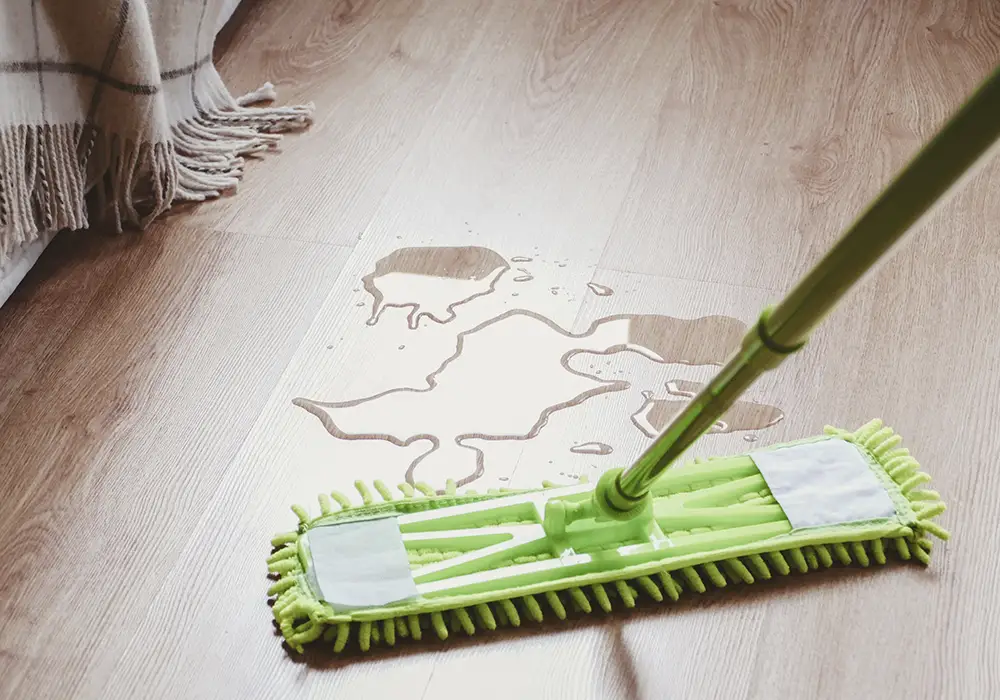 cleaning up pee on the floor with a mop