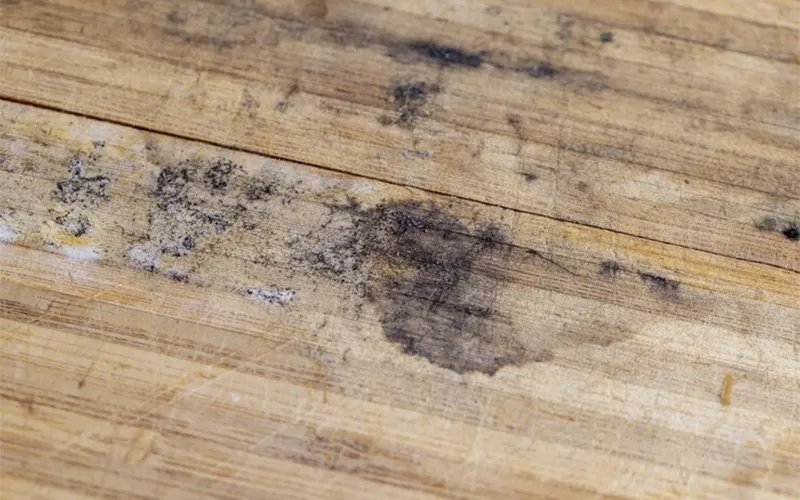 Read more about the article When should I replace the hardwood floors in my home?